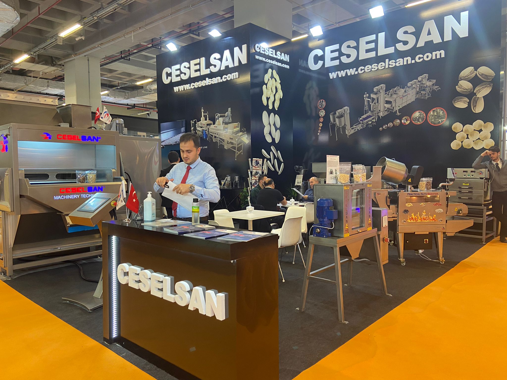 Ceselsan